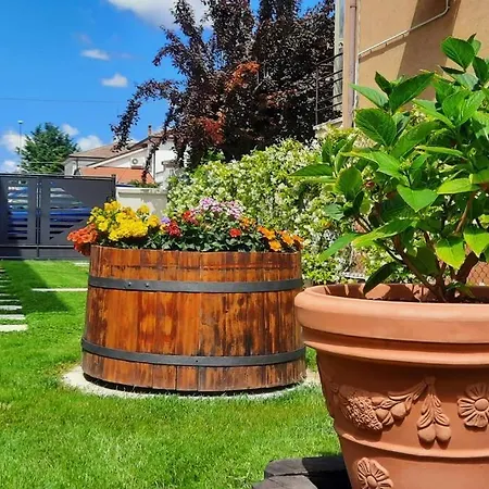 Apartmán Moderna A Due Passi Dal Centro Molinella