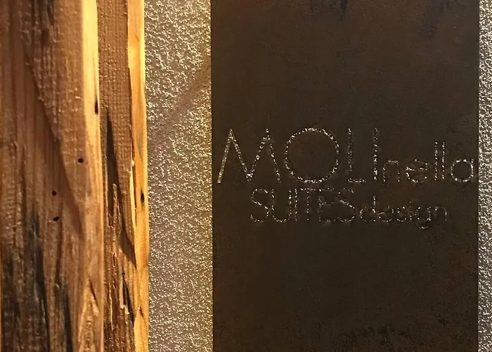 Moderna A Due Passi Dal Centro * Molinella